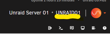 Unraid Server Name.png