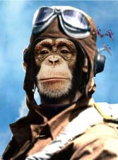Monkeyair