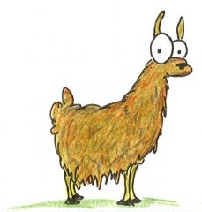 llama