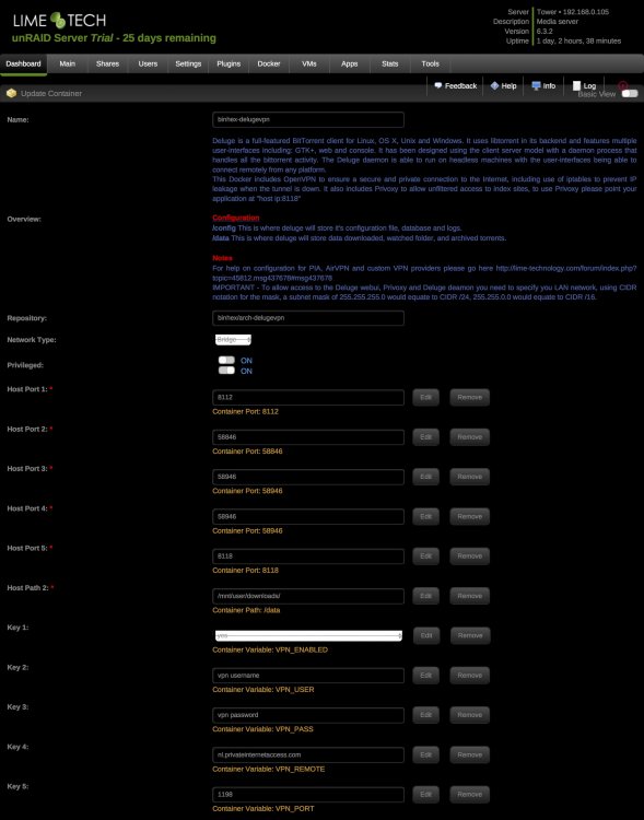 DelugeVPN_setup.jpg