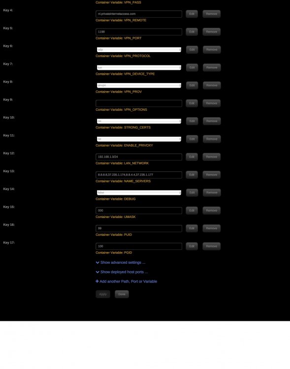 DelugeVPN_setup3.jpg