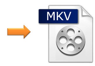 to-mkv.jpg.d63210788819b9973e561b9cf537e402.jpg