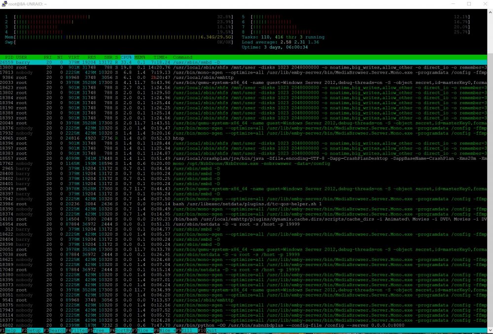 Htop.JPG