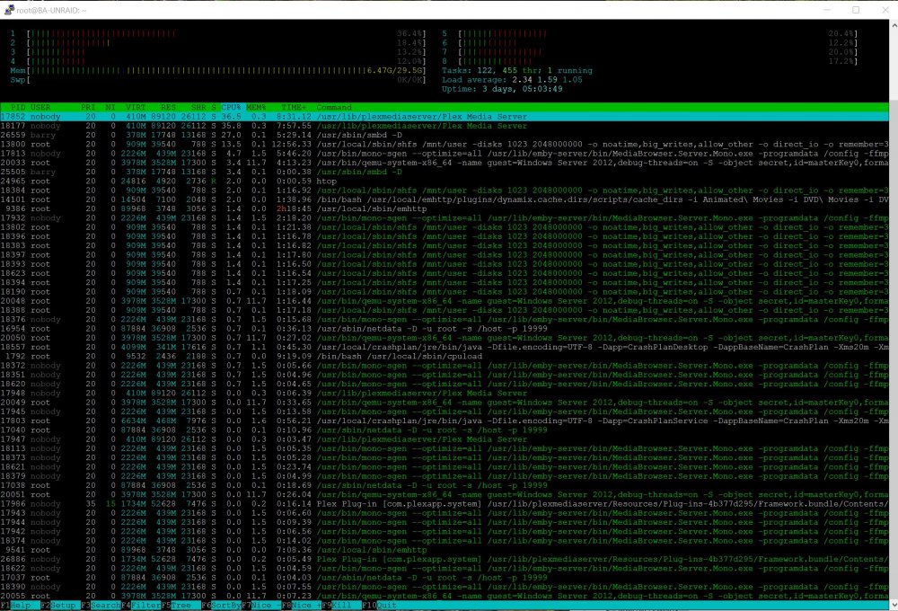 Htop.JPG