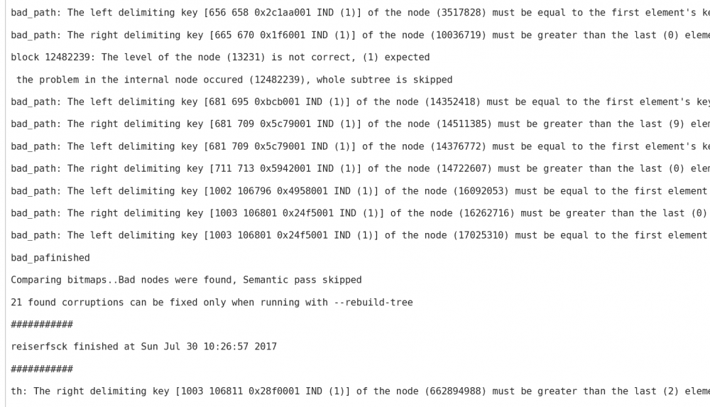 reiser errors (reiserfsck).PNG