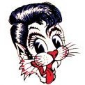 thestraycat