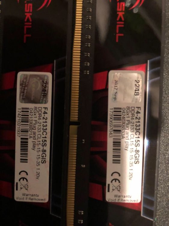 IMG_4904.JPG
