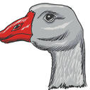 Greygoose