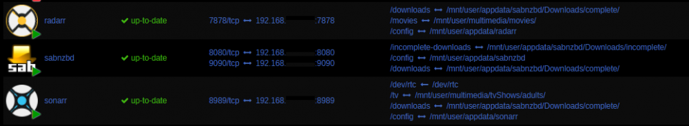 Screenshot of UNRAID setup