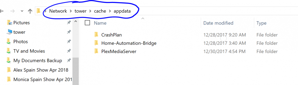 Inside cache appdata directory.PNG