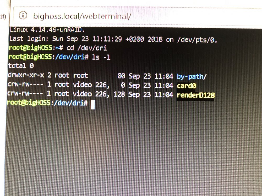 0636C719-3B0E-4A8F-A030-C63FE15D2C65.jpeg