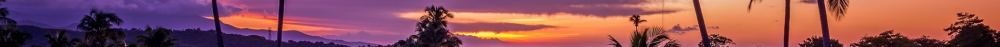 Purple Sunset.png