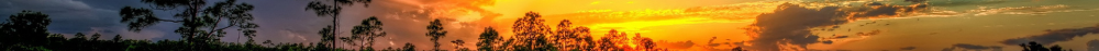 Horizon.png