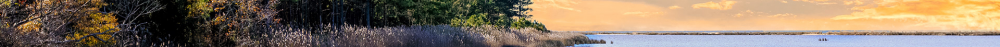 Marsh.thumb.png.349987607d8bd5d94e2731c7199ba436.png