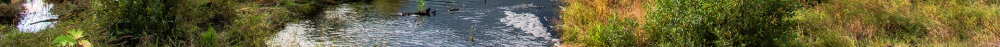 Stream.png