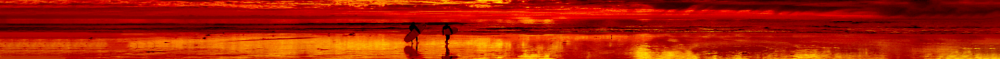 UnRaid666.thumb.png.27615069f1e5f461f45c791531813581.png