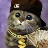 DogeKitteh007