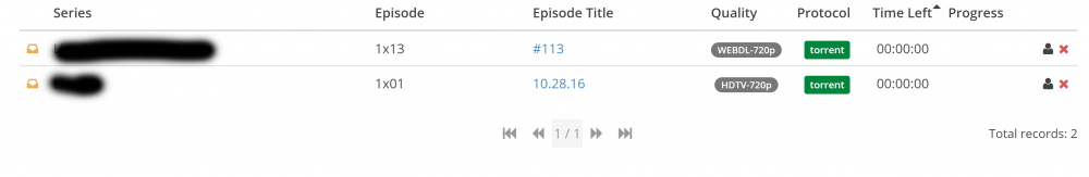 Sonarr Activity.PNG