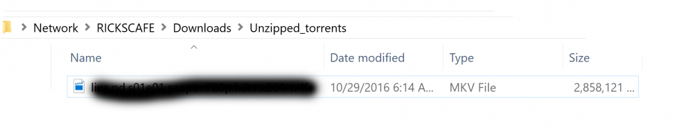 Unzipped Torrents Folder.PNG