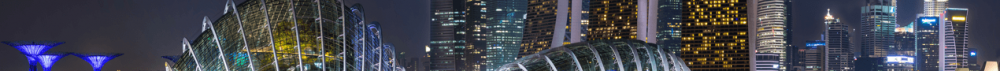 Singapour_Special.png