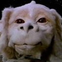 falcor