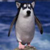 sjerisman