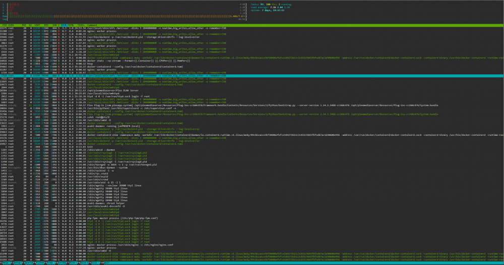 1387643318_HTOPCPU.thumb.PNG.58f078c79a48ae2053b1b99e4e0a2306.PNG