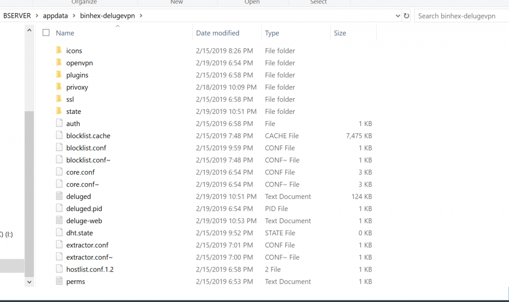 delugevpn folder.png