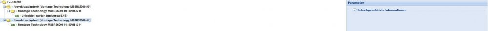 unraid_tvh_problem1.JPG