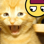 RawrSpace
