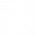 Pinecone