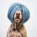 howdent