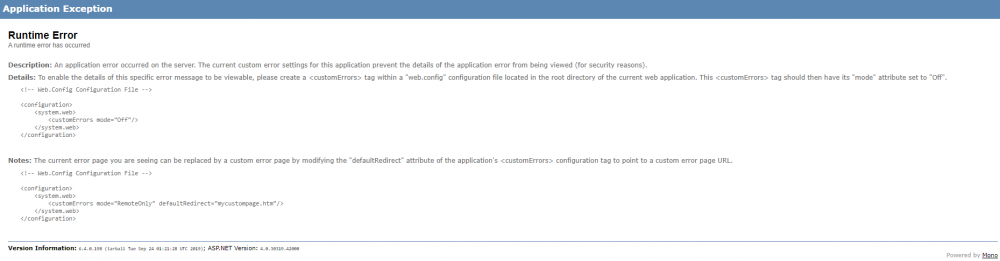 runtime-error.png