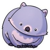 wombat