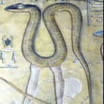 EgyptianSnakeLegs