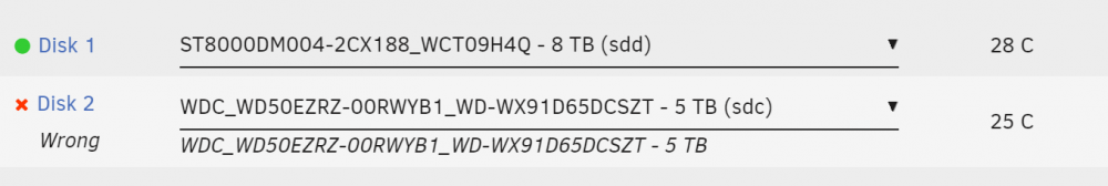 unraid_disk.PNG