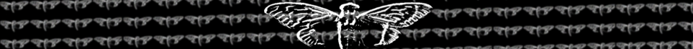 cicada3301.thumb.png.25ea23b32608944eb834ca60de9c4894.png