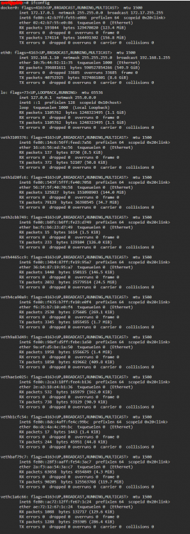 ifconfig.PNG