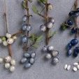 Greyberry