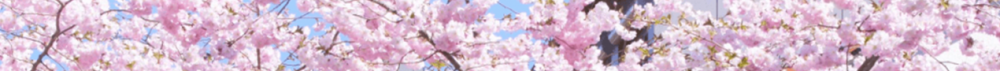 blossom1.png