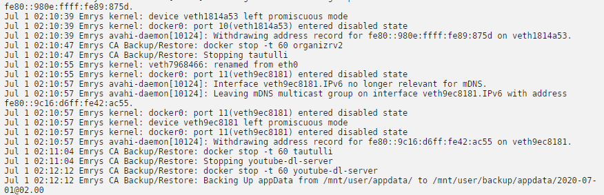 266264371_UnraidLog.png.a1b0bca611426457770084ea7c6e88b7.png