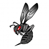 BlackHornet