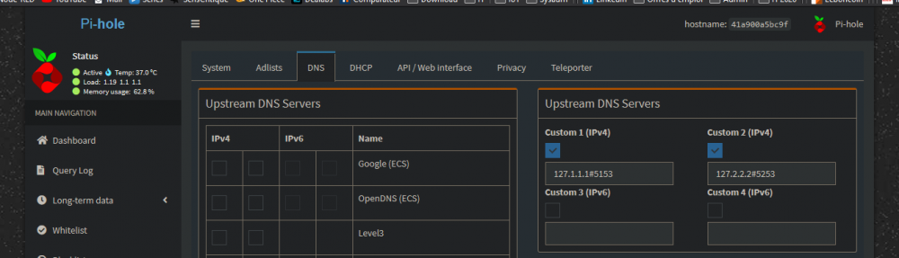 Pihole.thumb.png.2f80f5c01a152282a68c69dd765c3d11.png