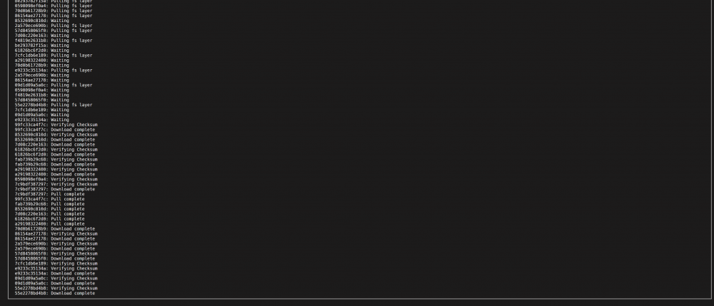 pihole2.PNG