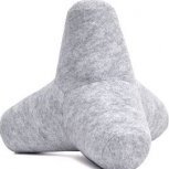 tetrapod