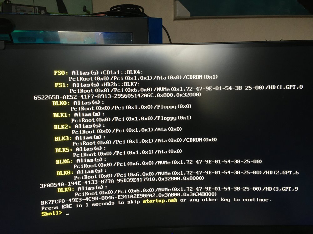 UEFI shell v2 text SCREEN.JPG