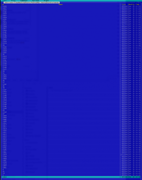immagine.thumb.png.177255a58c3f53bd923ac199e4c1475b.png