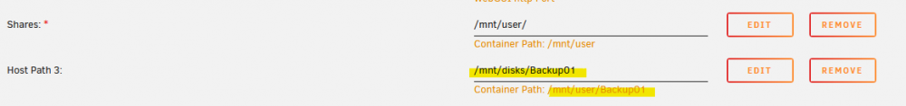 mntdisks2.thumb.png.e657de6d9823f754d824ba120ea1e339.png