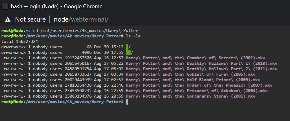 447394160_UnraidTerminal.PNG.b37a91571fdbf7816547527db1883ddb.PNG