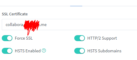 npmCollaboraSSL.PNG.654f0ed90e18f46f398a554ca01cd9e4.PNG